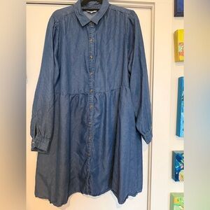 Time and Tru Blue Denim Dress